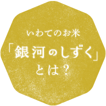 いわてのお米「銀河のしずく」とは？