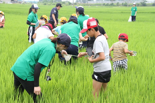 ＪＡ職員とともに生き物を探す小学生