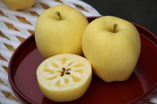 新着 Ja全農いわて