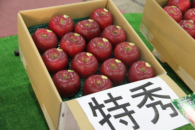 ニュースリリース Ja全農いわて ニュースリリース Ja全農いわて