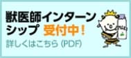 獣医師インターシップ受付中！