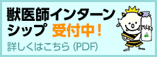 獣医師インターンシップ受付中！