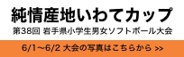 岩手県小学生男女ソフトボール大会 純情産地いわてカップ