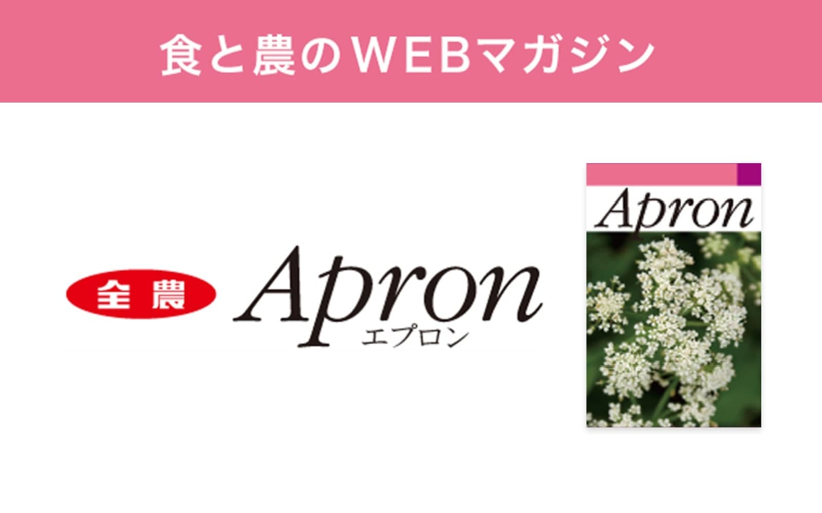 Apron エプロン