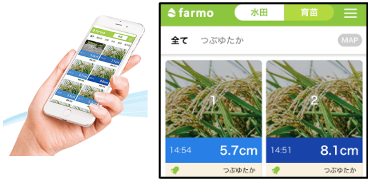 水田farmo（ファーモ）